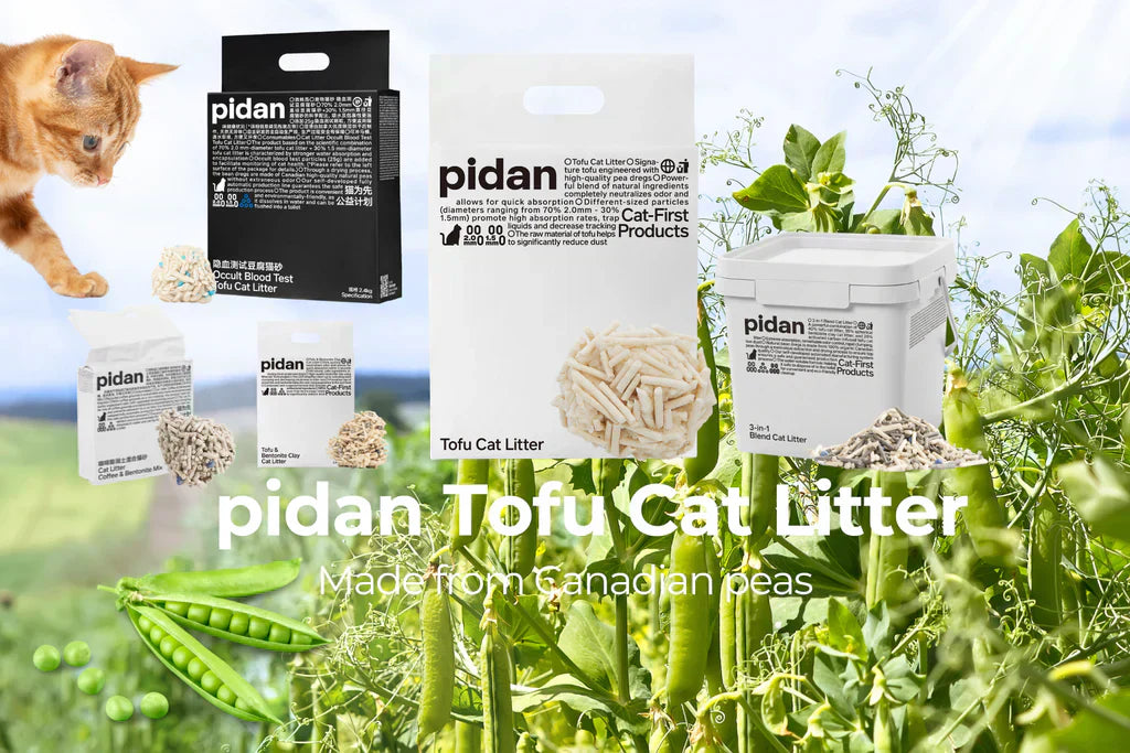 From-Bean-to-Box-The-Science-Behind-Pidan-Tofu-Cat-Litter Maokids Pet