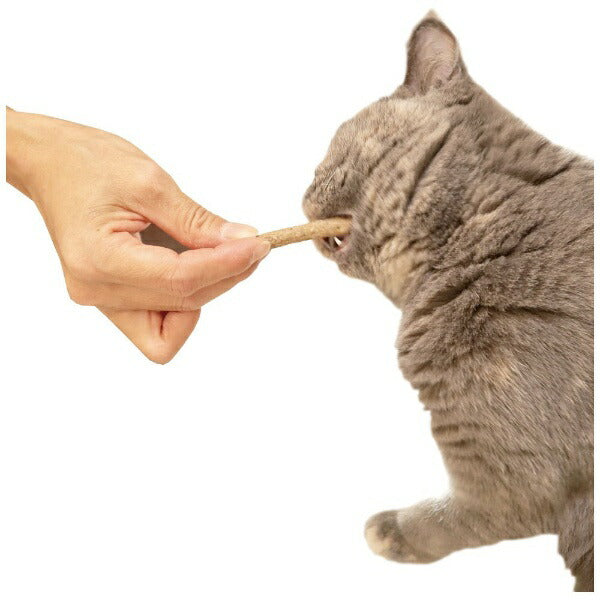 PetzRoute Soft Dental Sticks Cat Treats - Bonito Flavour - 25g - Maokids Pet