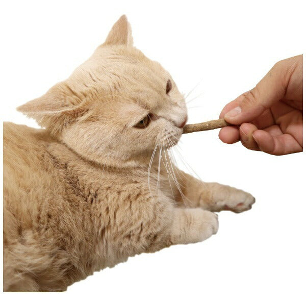 PetzRoute Soft Dental Sticks Cat Treats - Bonito Flavour - 25g - Maokids Pet