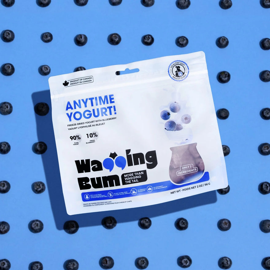 Wagging Bum Anytime Yogurt! Freeze Dried Yogurt with Blueberry For Dog - 56g - Maokids Pet