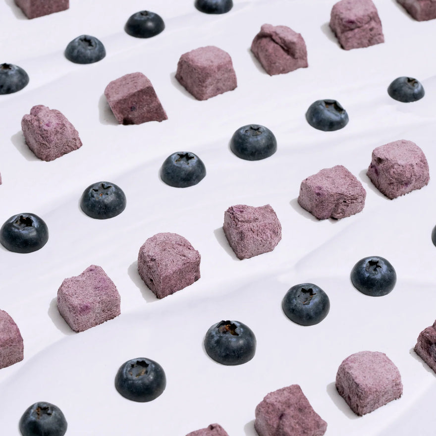 Wagging Bum Anytime Yogurt! Freeze Dried Yogurt with Blueberry For Dog - 56g - Maokids Pet