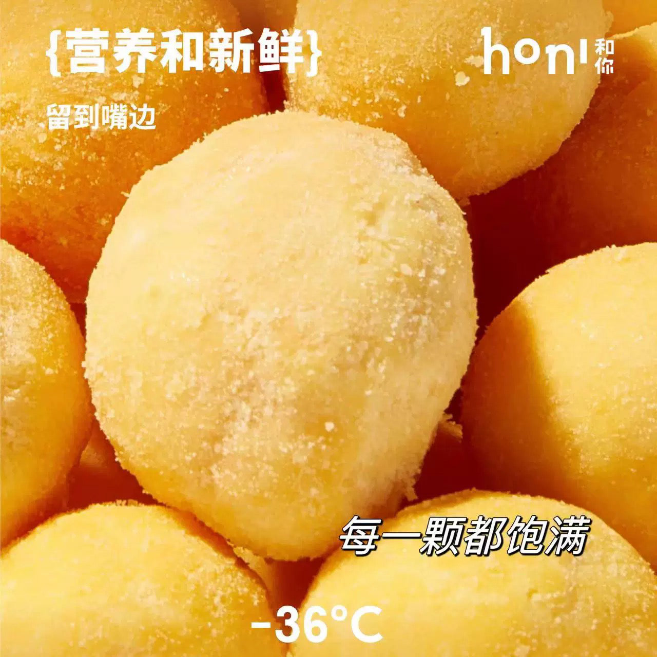 honi和你® 犬猫通用 猎食整颗鹌鹑蛋黄冻干 美毛营养