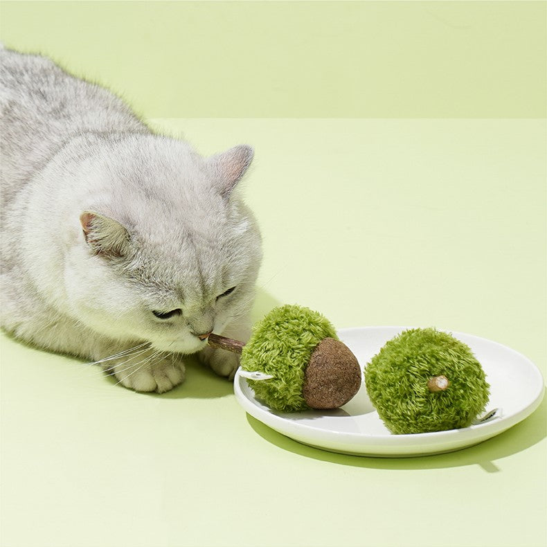 Zeze Acorn Fruit Cat Toy with Catnip