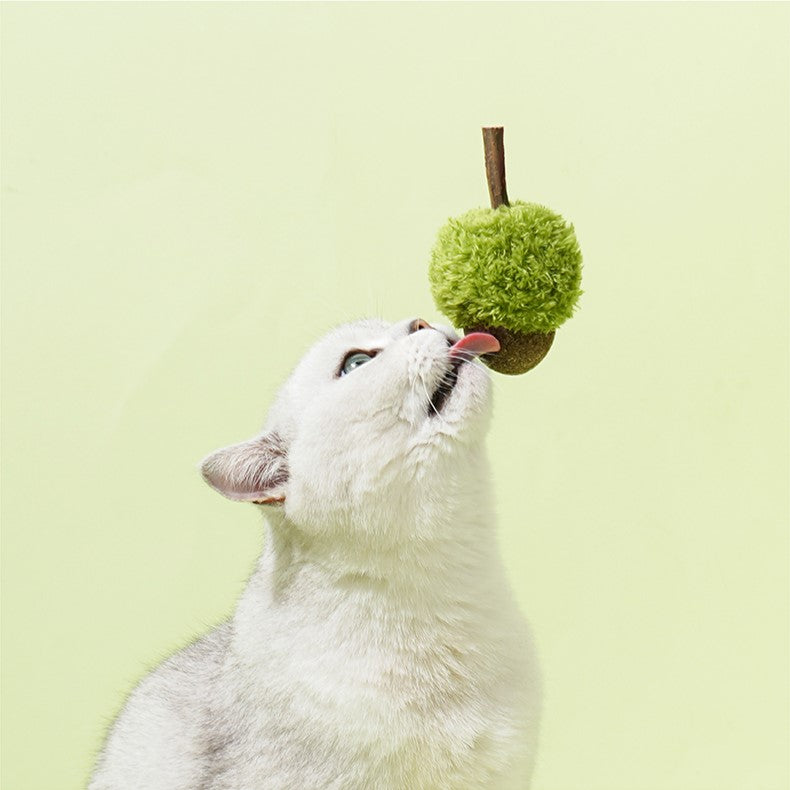 Zeze Acorn Fruit Cat Toy with Catnip