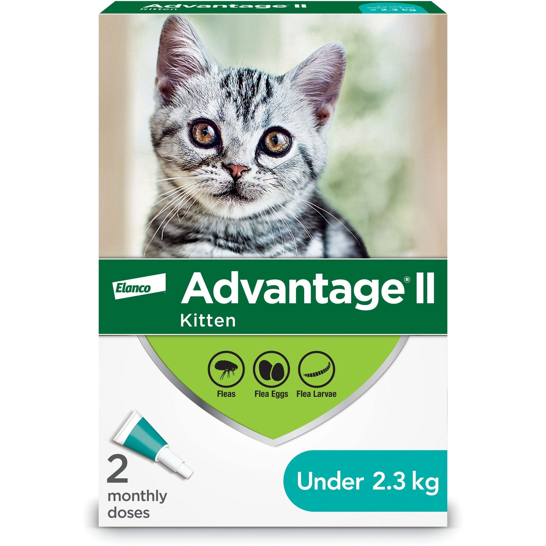 Advantage II Flea Treatment for Kittens - Under 2.3 kg - Maokids Pet