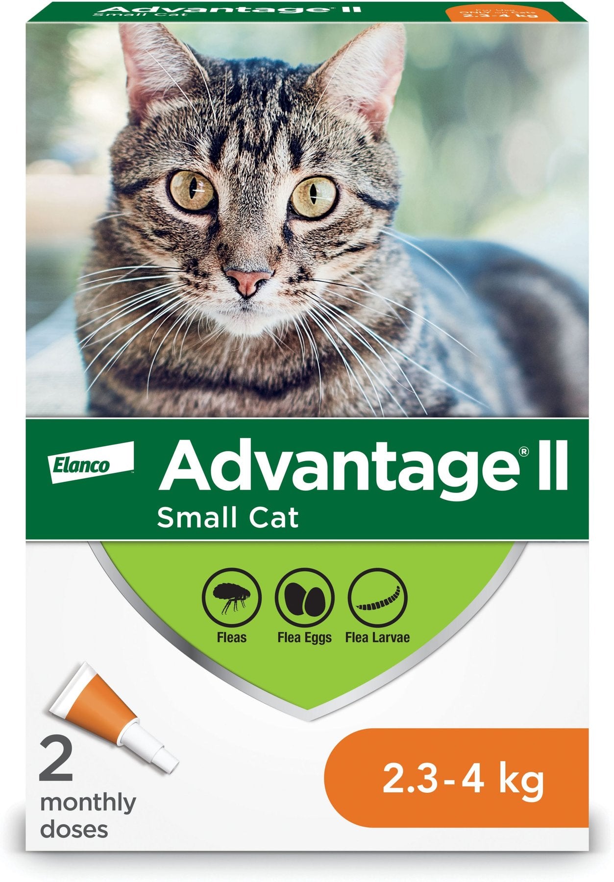 Advantage II Flea Treatment for Cats - 2.3kg - 4kg - Maokids Pet