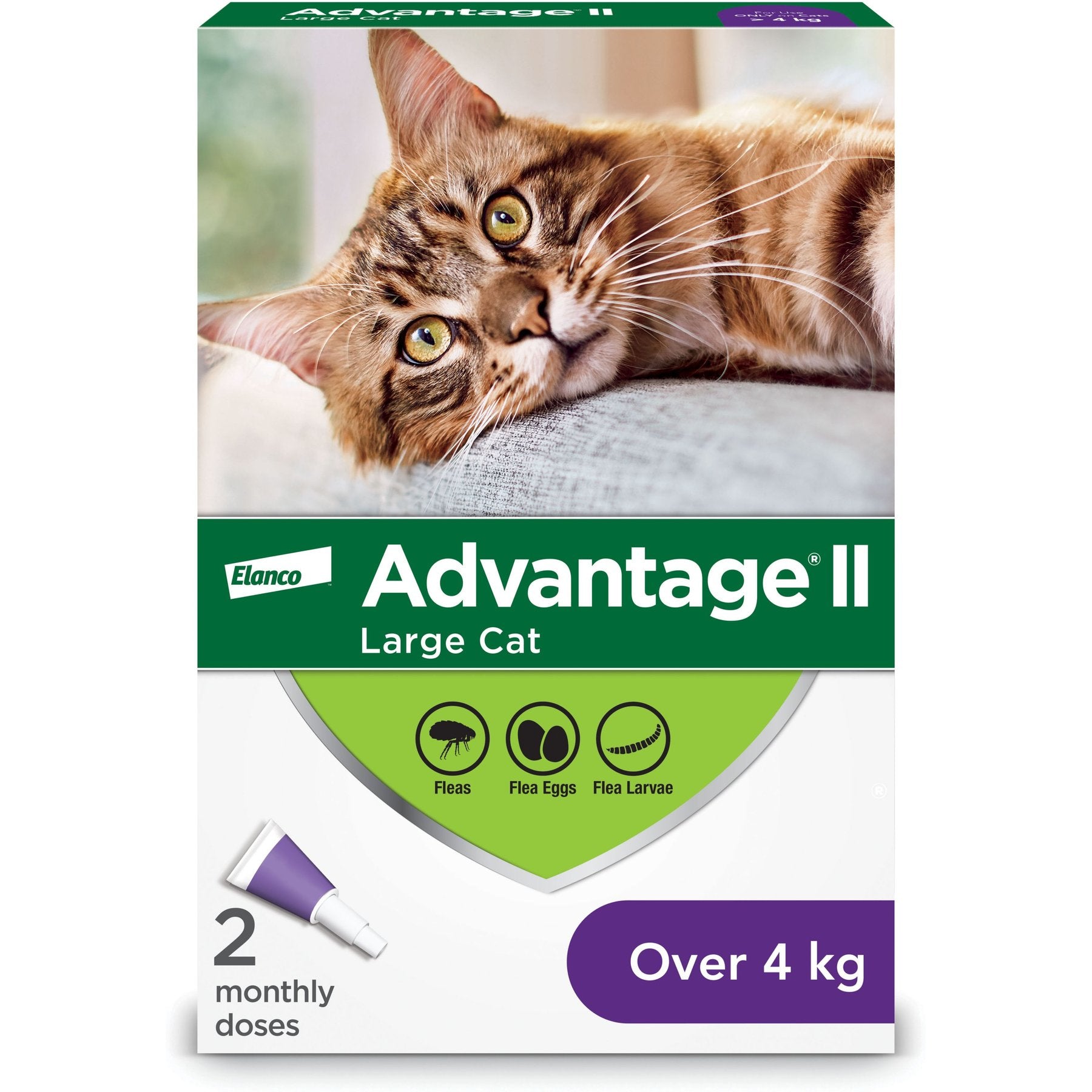 Advantage II Flea Treatment for Cats - 4 kg and over - Maokids Pet