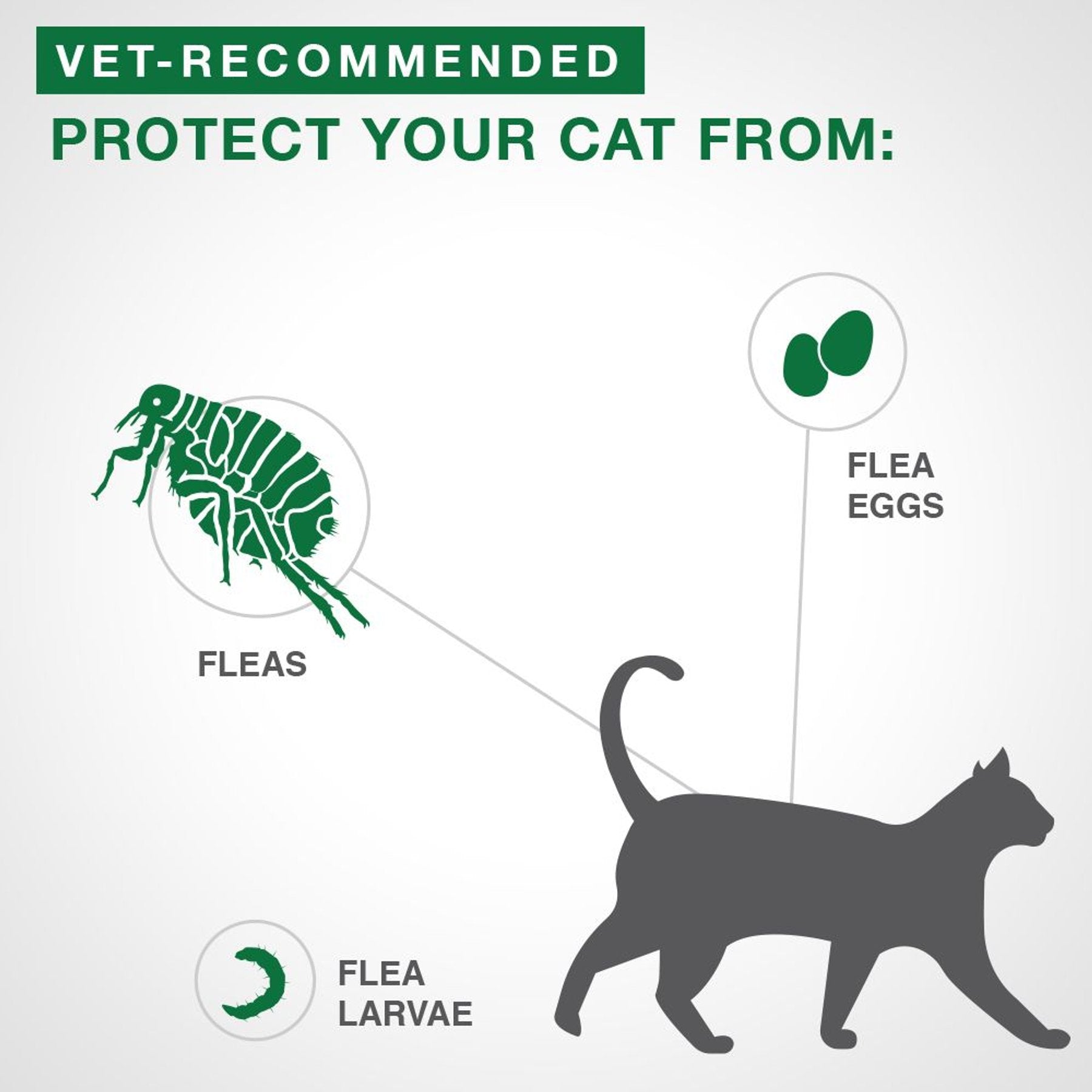 Advantage II Flea Treatment for Cats - 4 kg and over - Maokids Pet