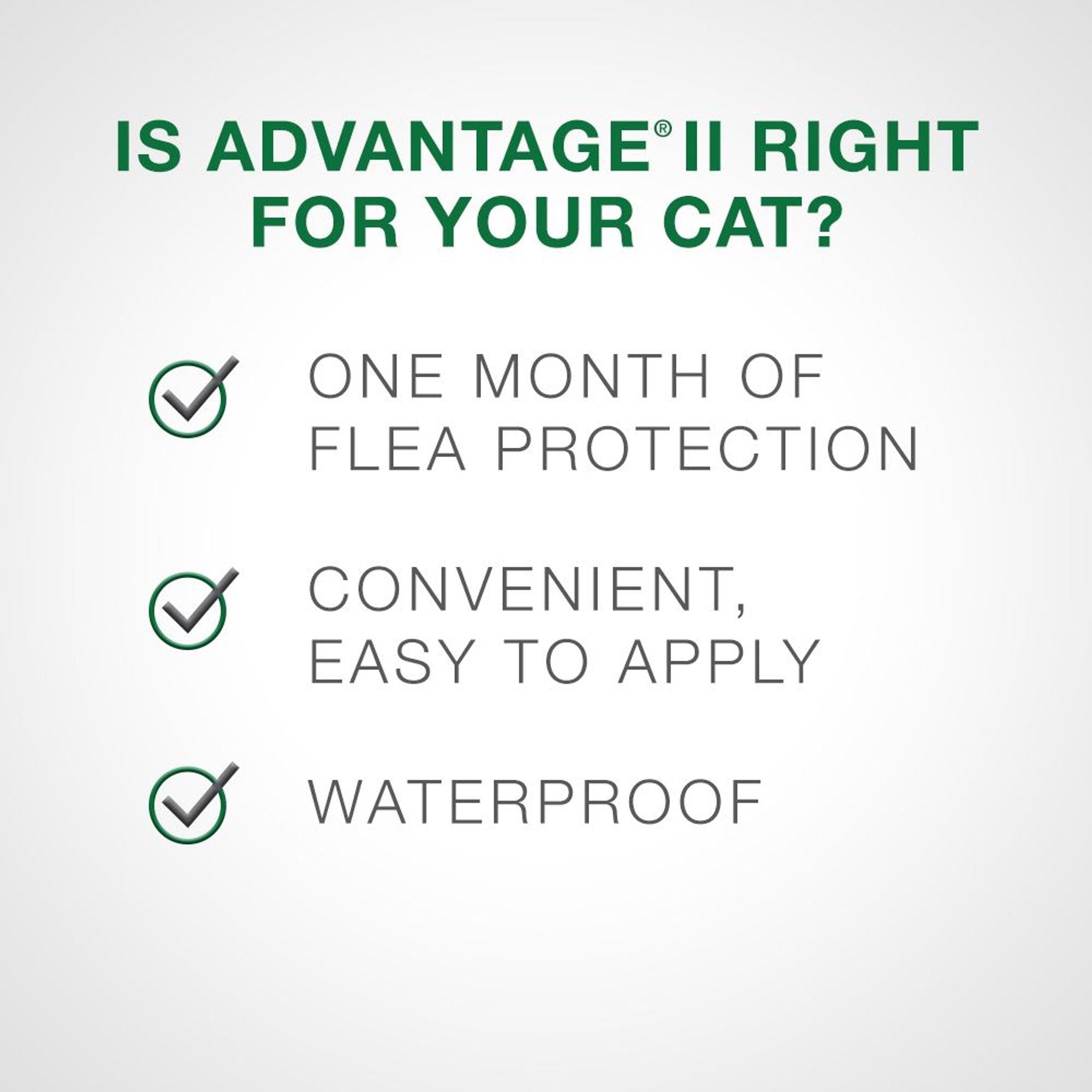Advantage II Flea Treatment for Cats - 4 kg and over - Maokids Pet