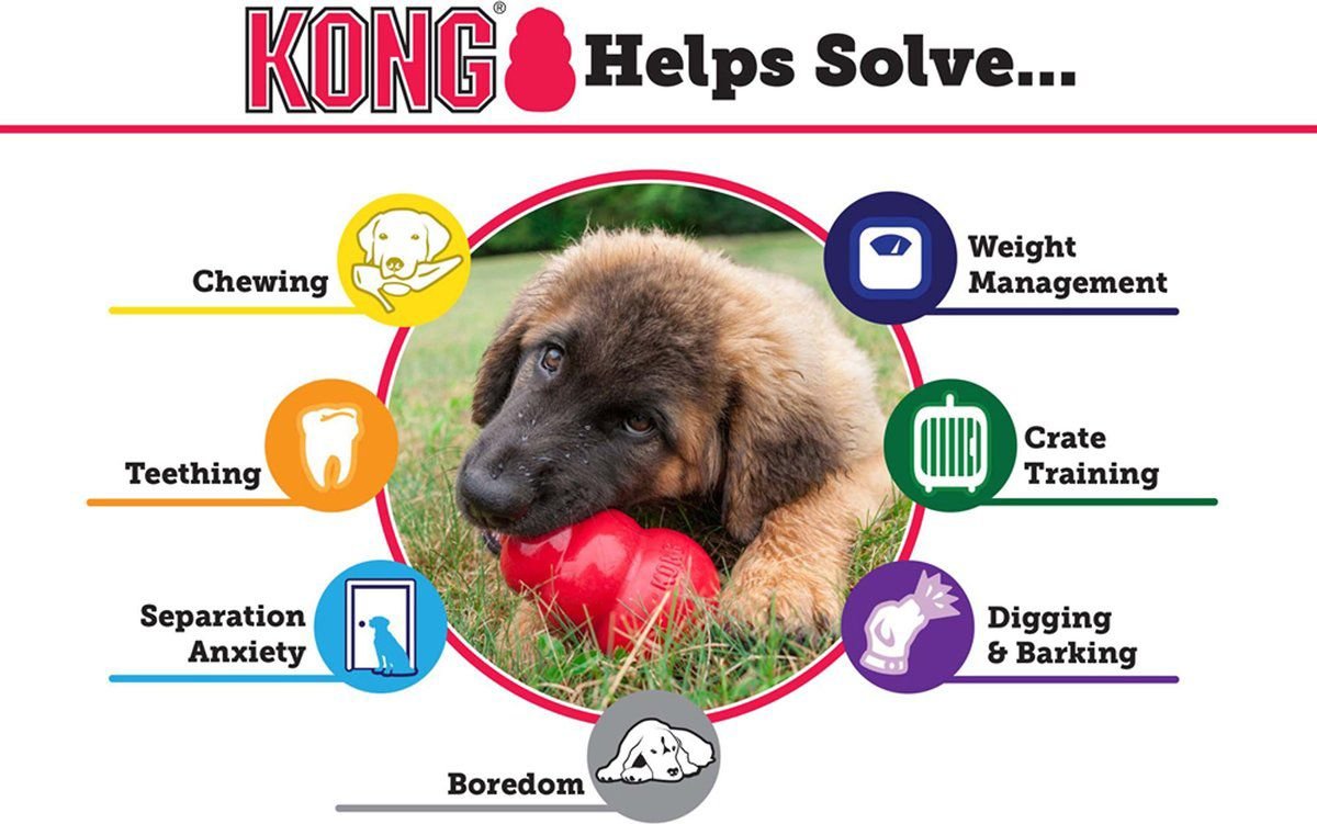 KONG 葫芦丰荣幼犬乳胶漏食玩具 浅蓝色 柔软乳胶 幼犬专用 多尺寸可选
