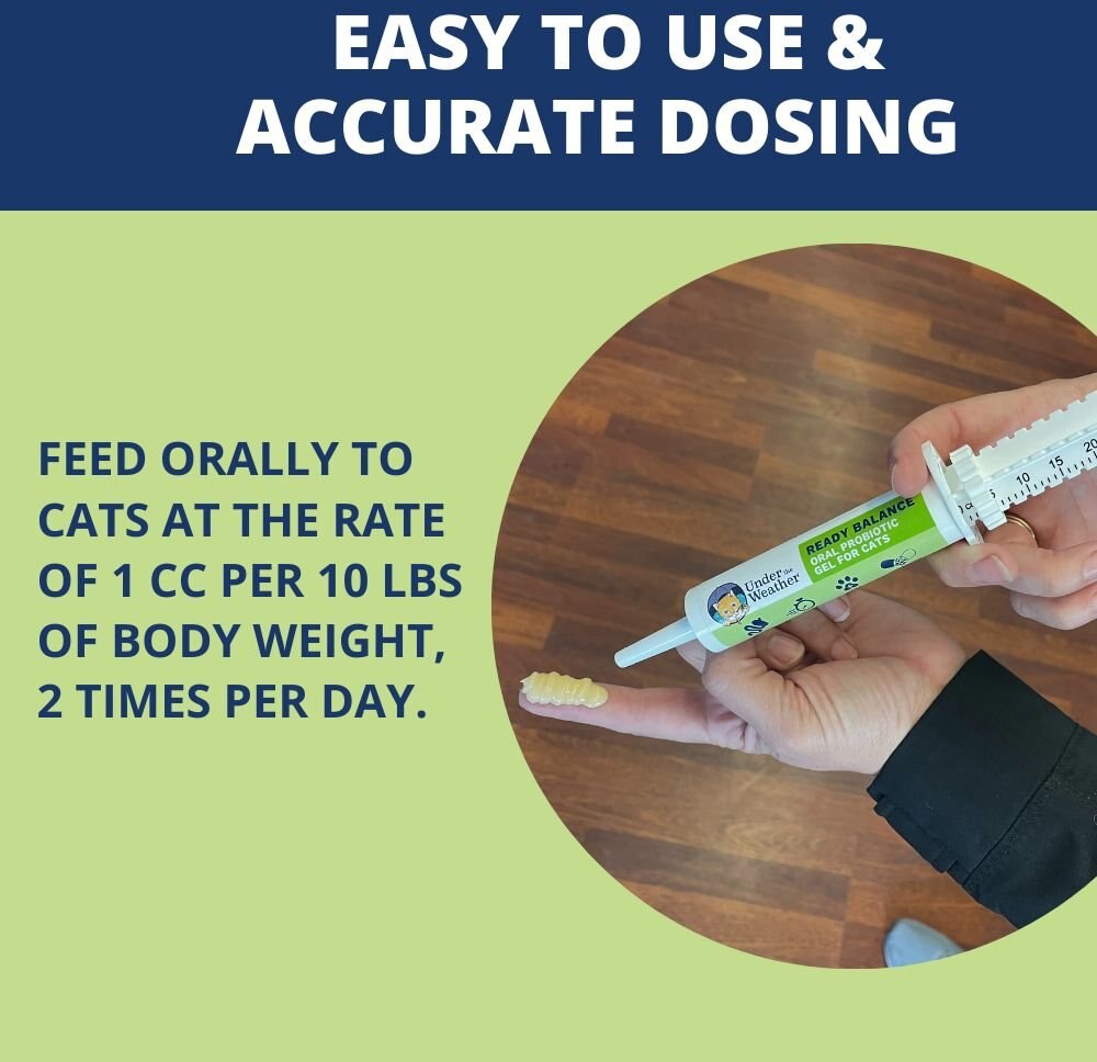 Under the Weather Ready Balance Probiotic For Cat - 30cc Syringe - Maokids Pet