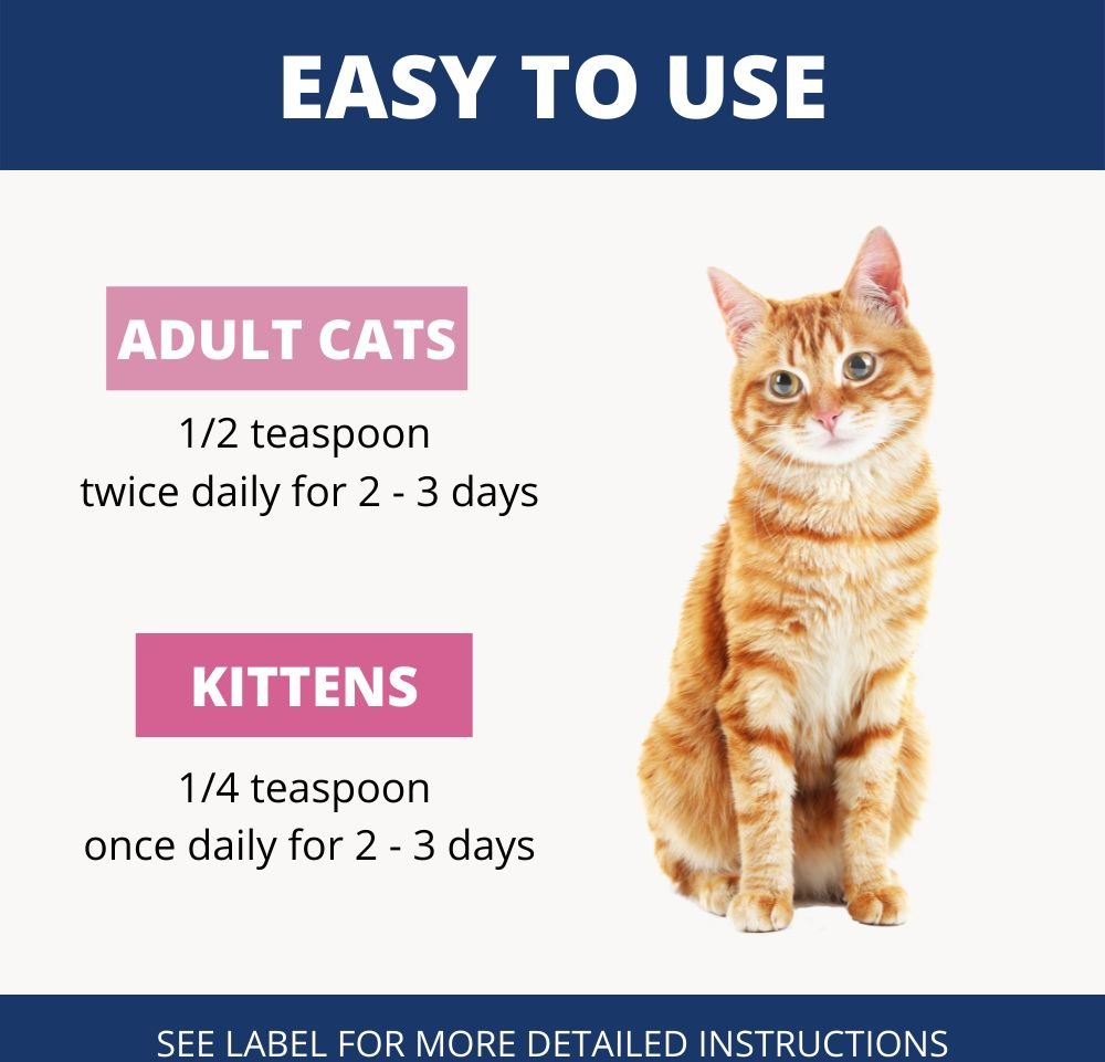 Under the Weather Hairball Support Gel For Cat - 3.5oz - Maokids Pet
