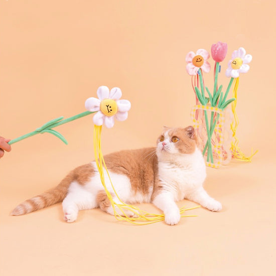 Purlab Daisy Flower Catnip Cat Teaser - Maokids Pet