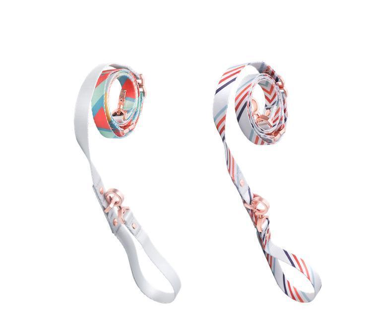 Pidan Self-unwinding Dog Leash - 2 patterns - Maokids Pet