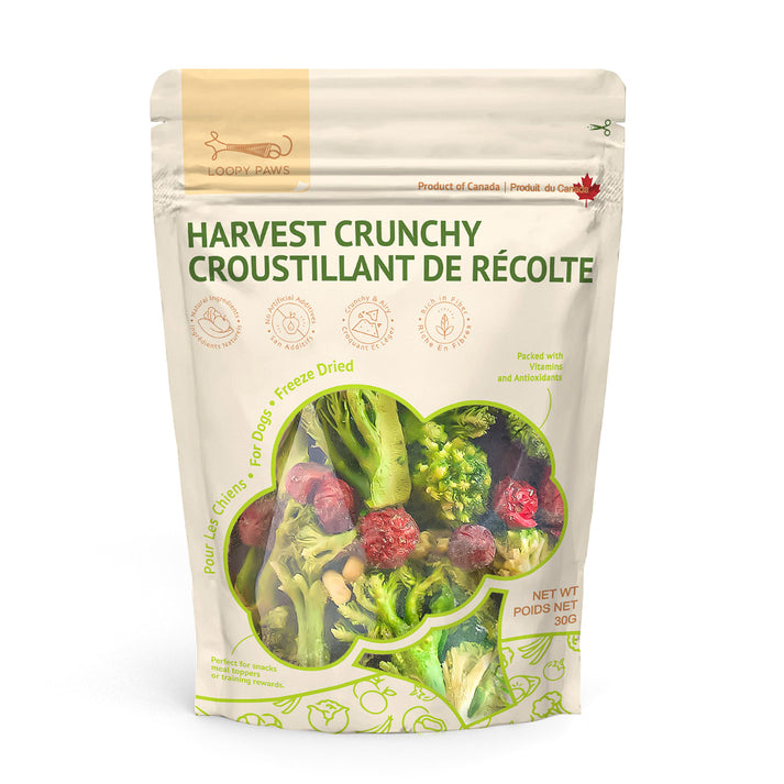 Loopypaws Harvest Crunchy Broccoli Mixed Dog Treats - 30g - Maokids Pet
