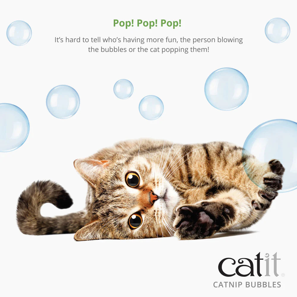Catit Catnip Bubbles - Maokids Pet