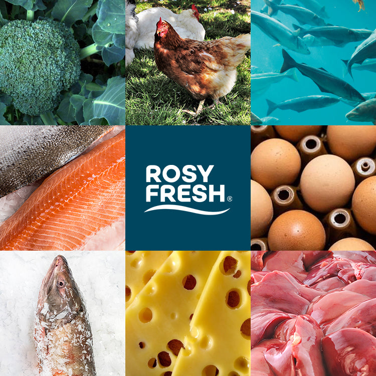 Rosy Fresh Chicken & Duck Recipe Baked Kitten Food - 1 kg/Bag