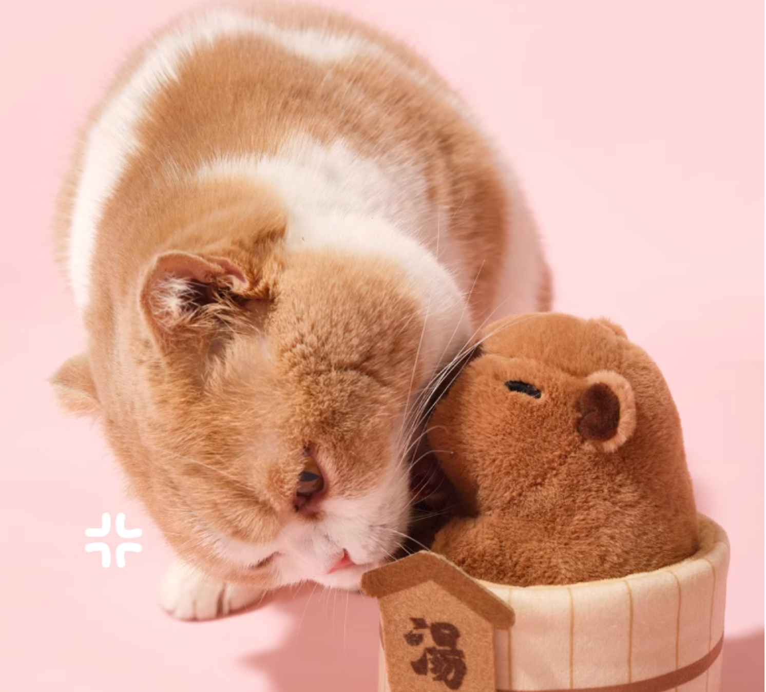 Purlab Capybara Hot Spring Catnip Cat Toy - Maokids Pet