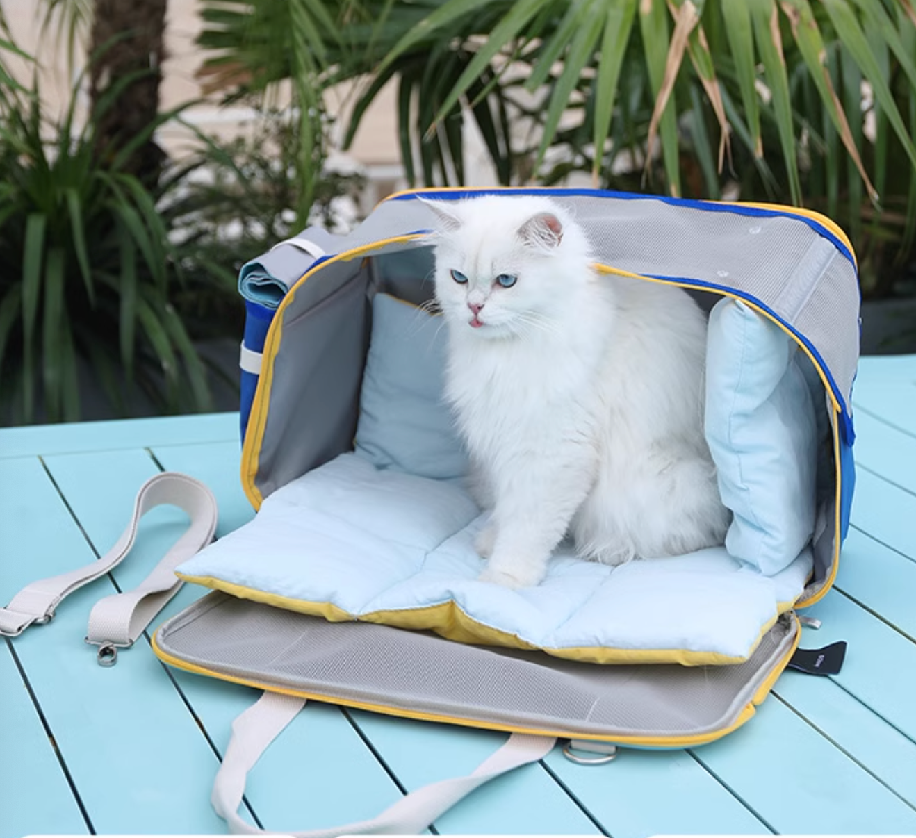 Hoopet Muti-Functional Large Capacity Pet Carrier - Maokids Pet