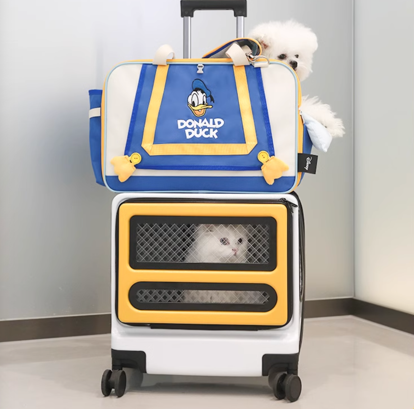 Hoopet Muti-Functional Large Capacity Pet Carrier - Maokids Pet