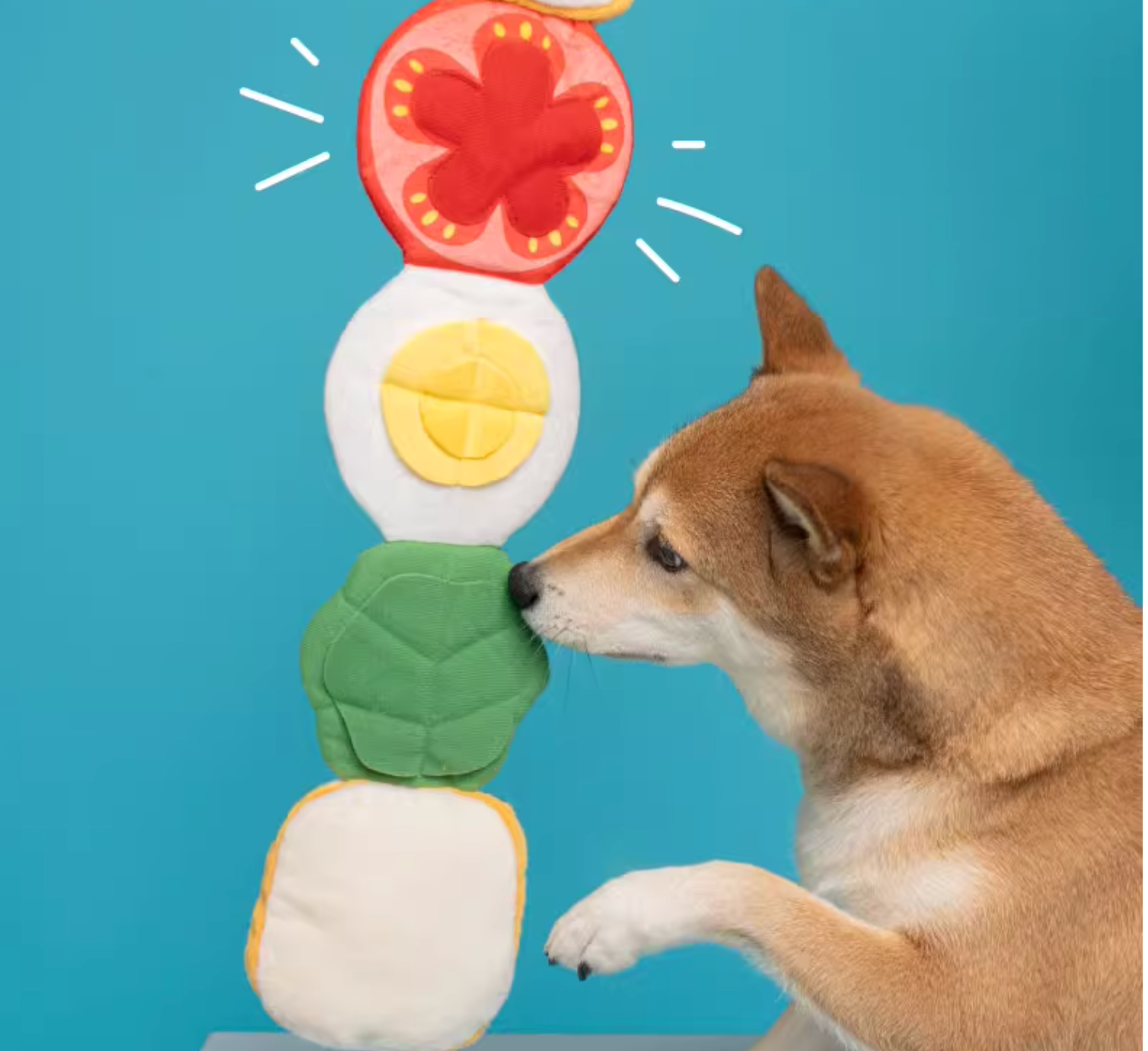 Petsville Garfield Sniffing Sandwich Interactive Dog Toy - Maokids Pet