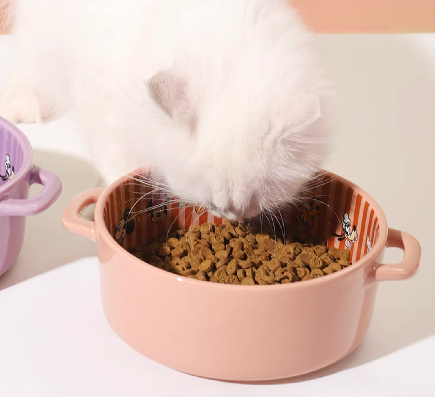 Hoopet Ceramic Pet Bowl - 6 Patterns - Maokids Pet