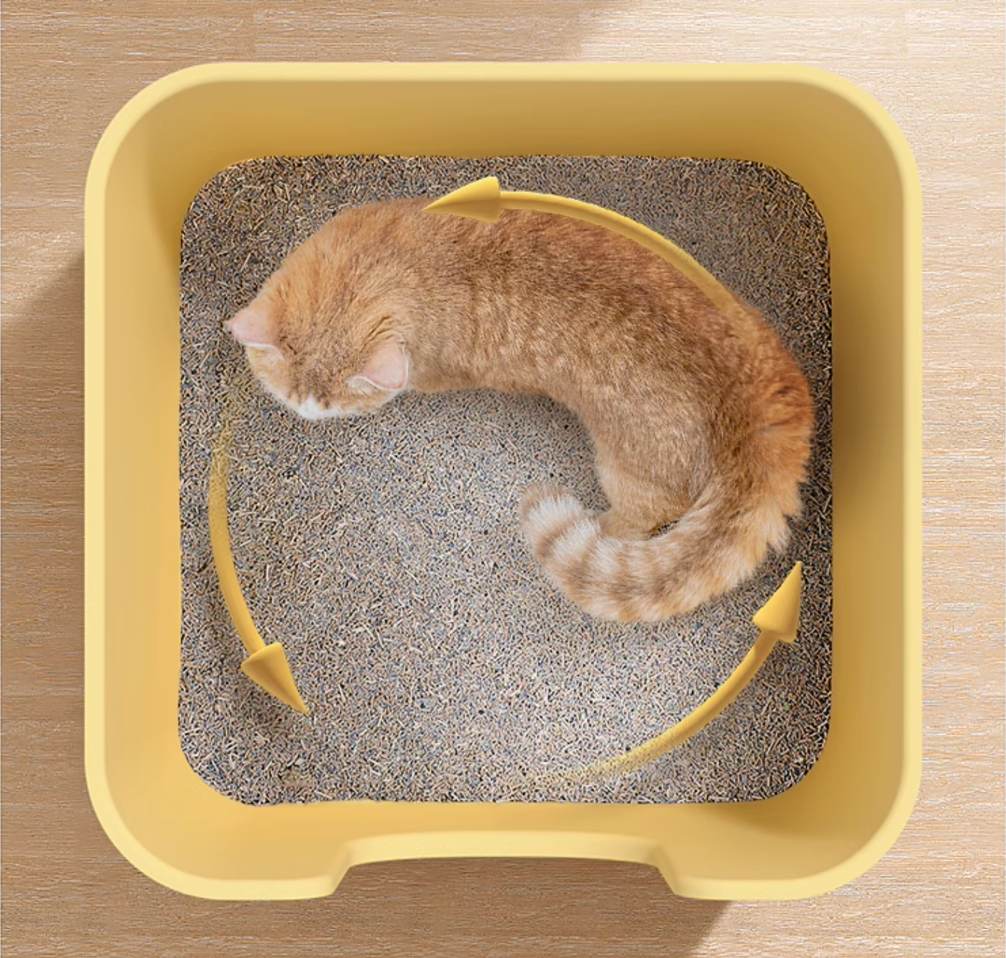 Mango Cube Litter Box XXL with Scoop - Maokids Pet