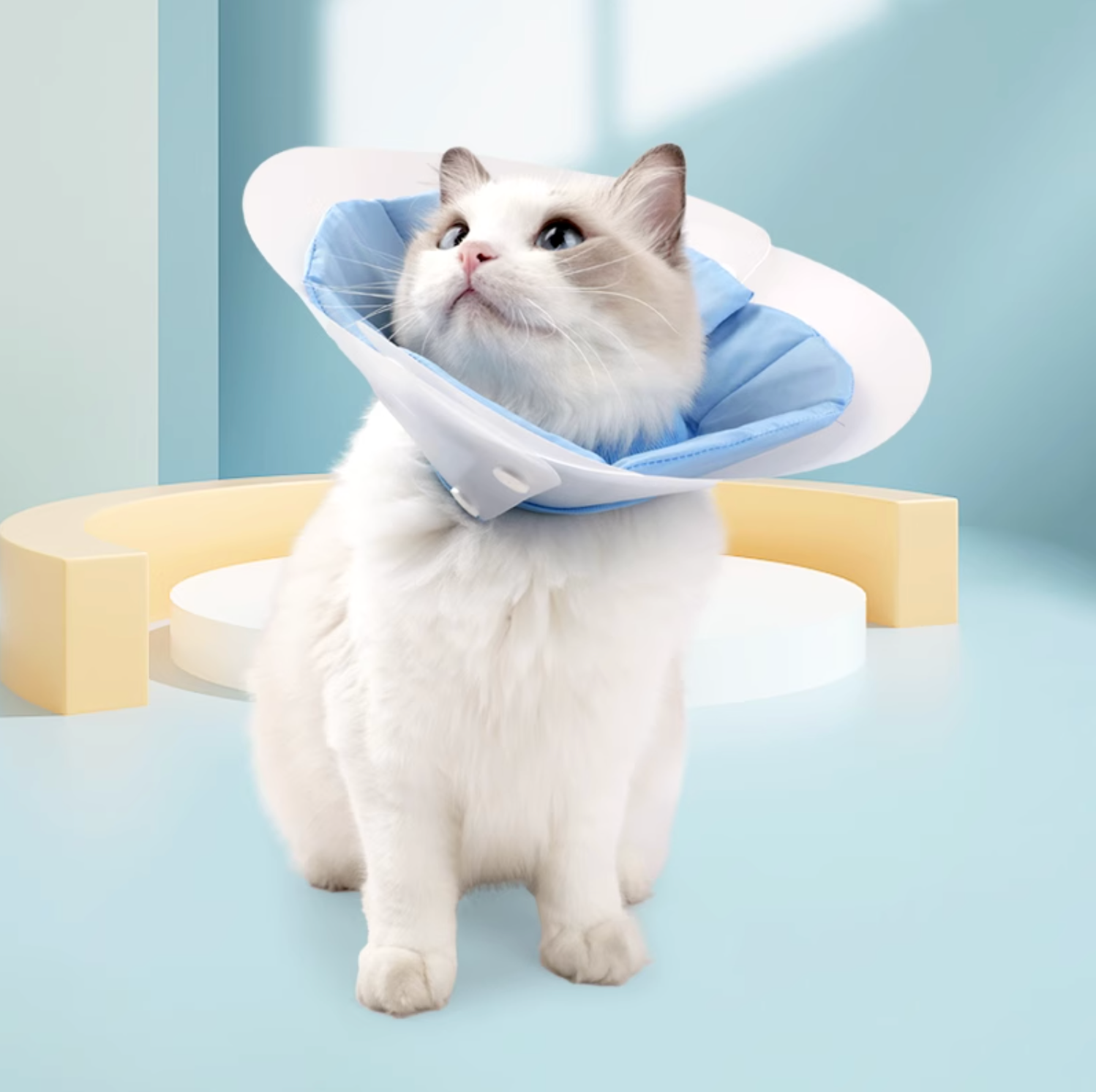 Doton Dual-Layer Design E-Collar For Cat - Maokids Pet