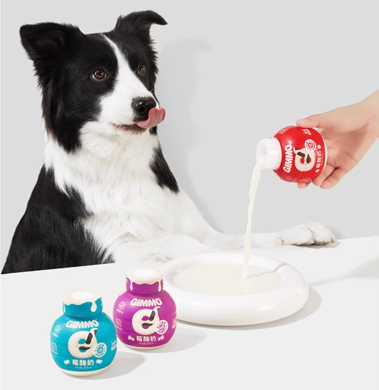 Gimmo Blueberry & Enzyme Lactose-Free Pet Milk - Maokids Pet