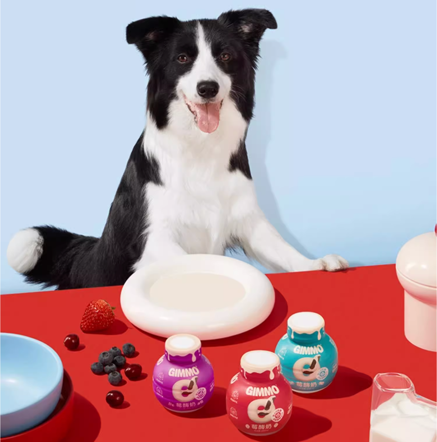 Gimmo Blueberry & Enzyme Lactose-Free Pet Milk - Maokids Pet