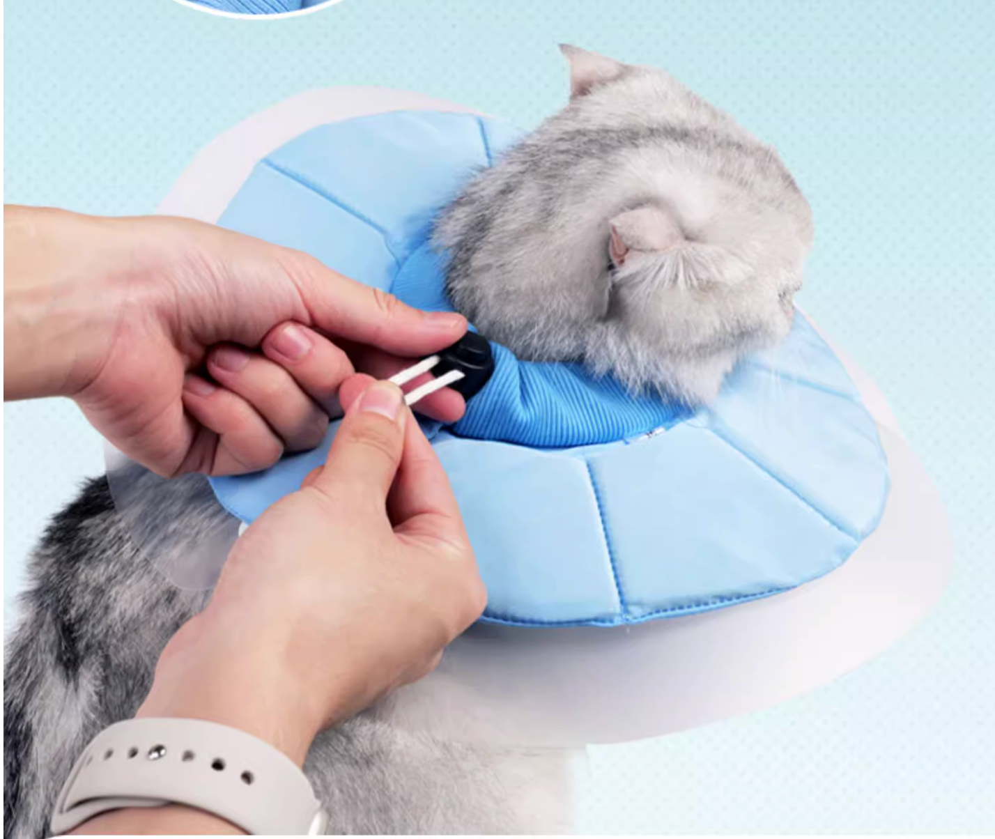 Doton Dual-Layer Design E-Collar For Cat - Maokids Pet