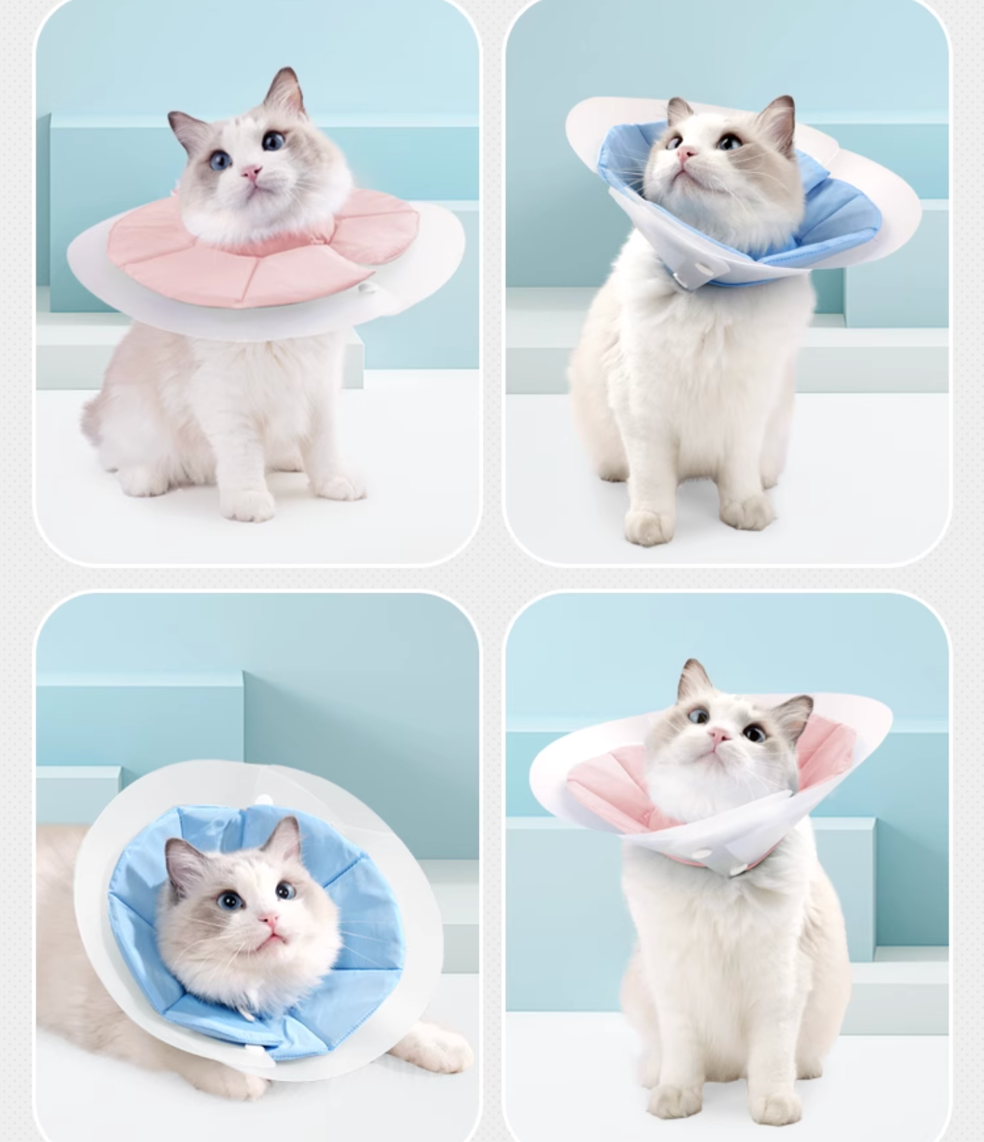Doton Dual-Layer Design E-Collar For Cat - Maokids Pet