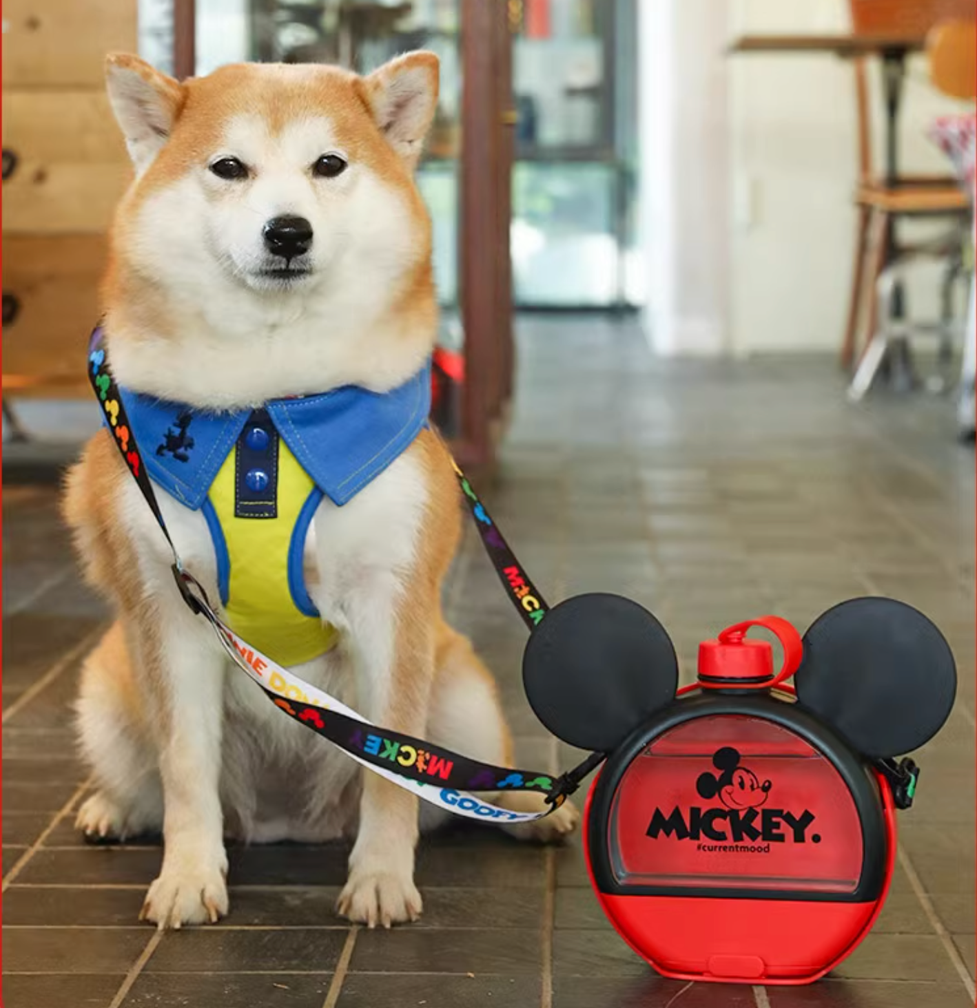 Hoopet Mickey Series Dog Outdoor Water Bottle With Bowl - Maokids Pet
