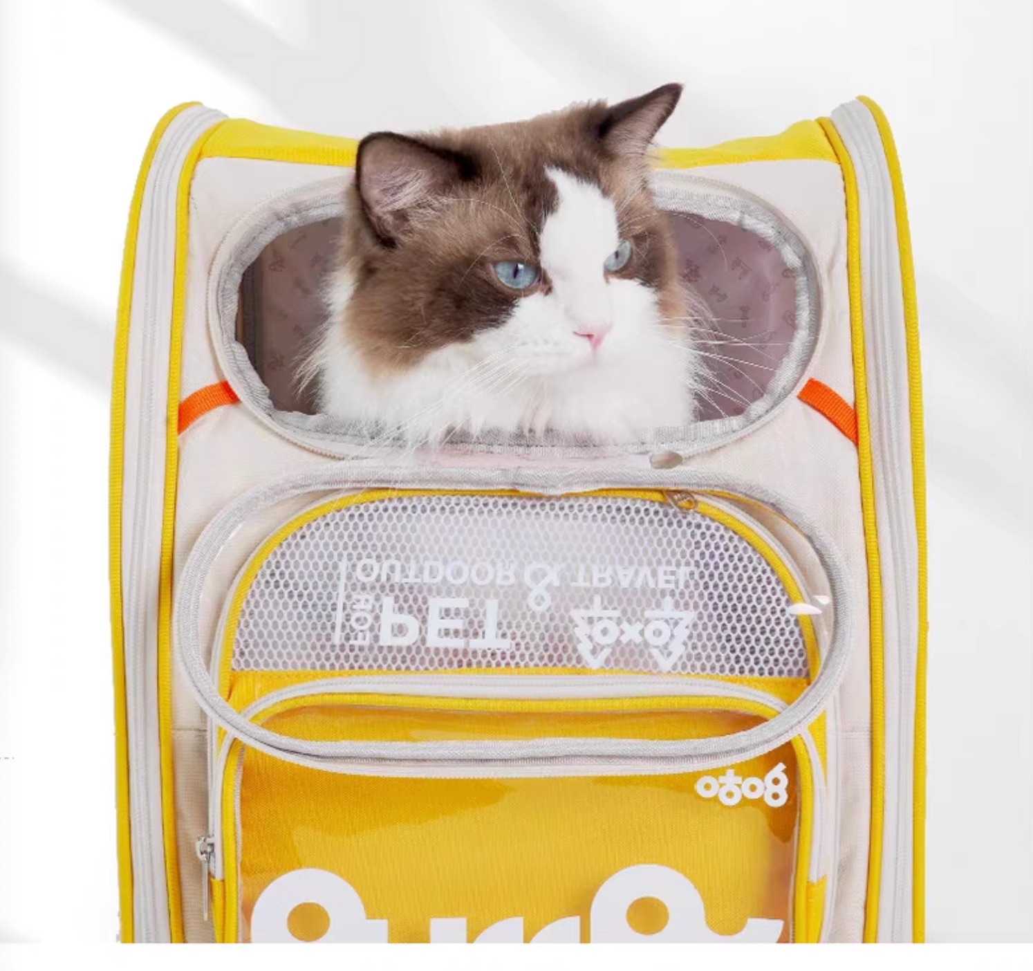 Purry Jelly Cube Carrier For Cat - 4 Colours