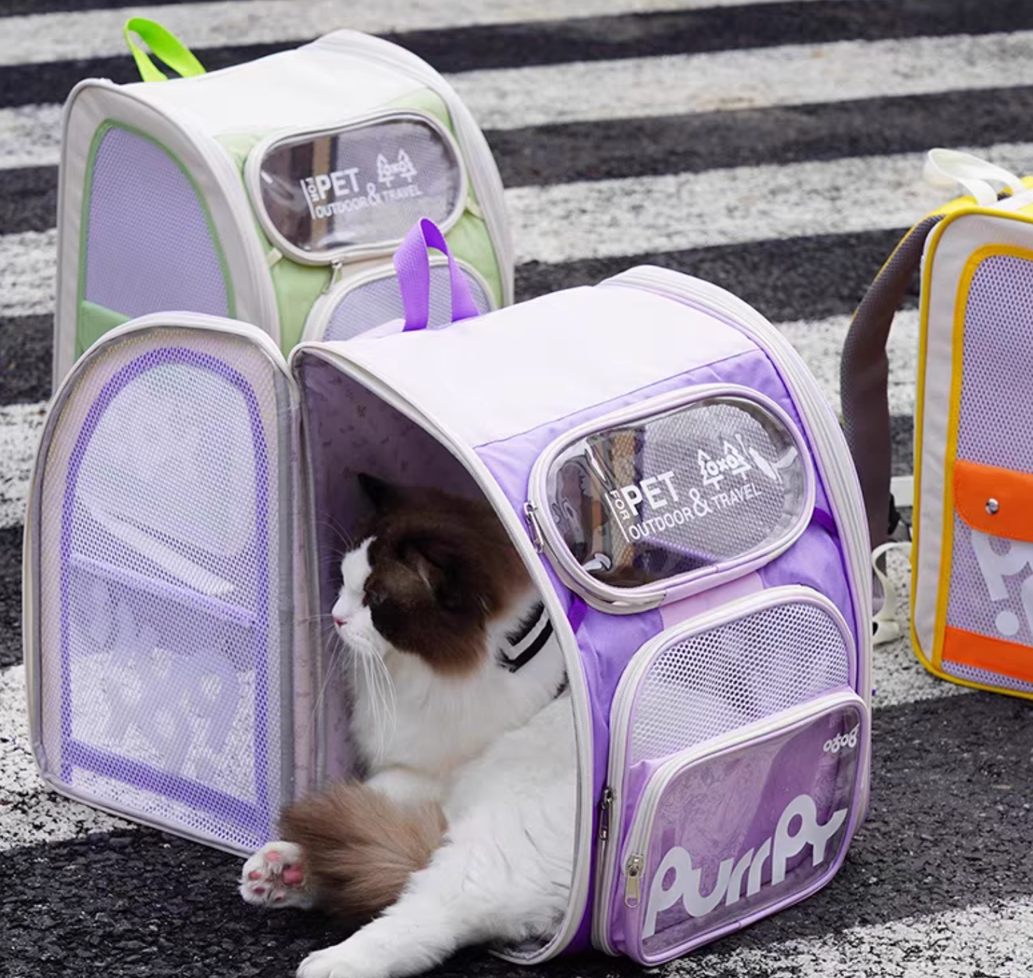 Purry Jelly Cube Carrier For Cat - 4 Colours