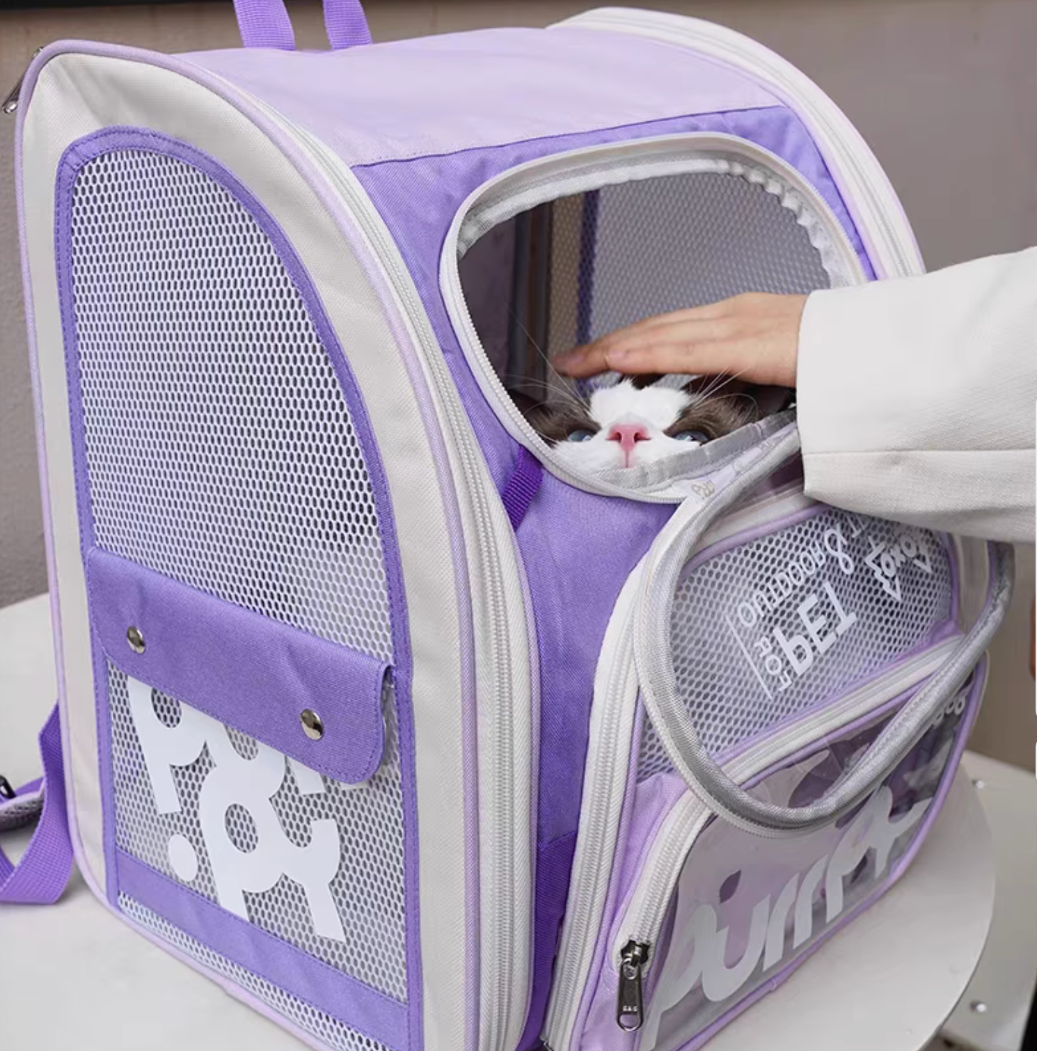 Purry Jelly Cube Carrier For Cat - 4 Colours