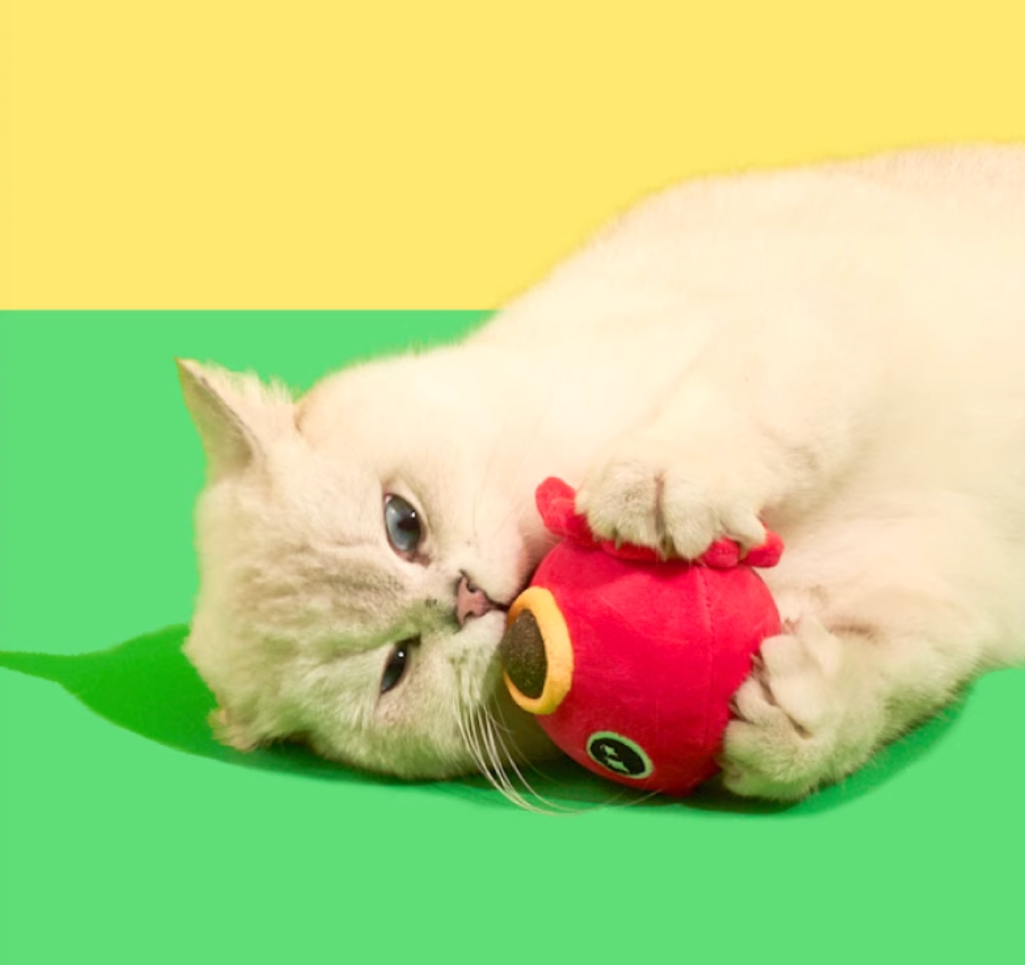 Purlab Takoyaki Ball with Catnip & Silvervine Cat Toy