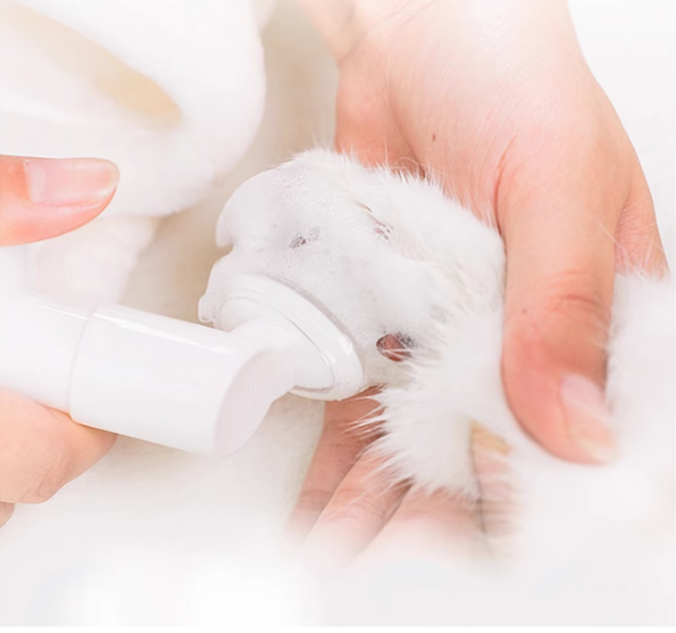 Kojima Paw Waterless Cleaning Foam For Dog & Cat