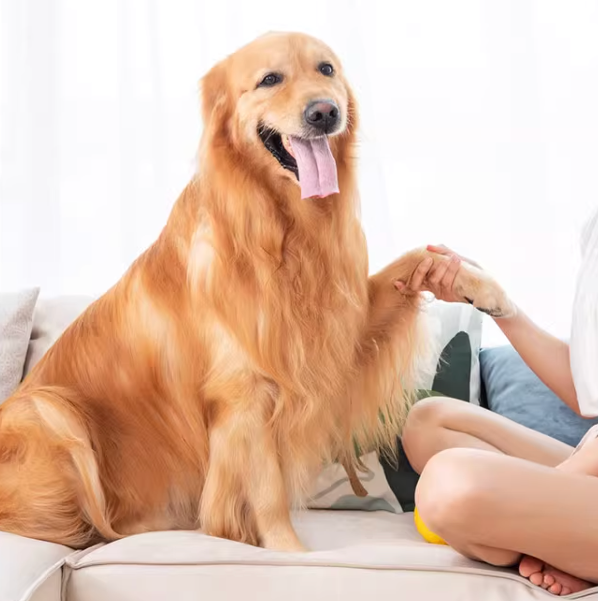 Kojima Nose & Paw Moisturizer For Dog & Cat