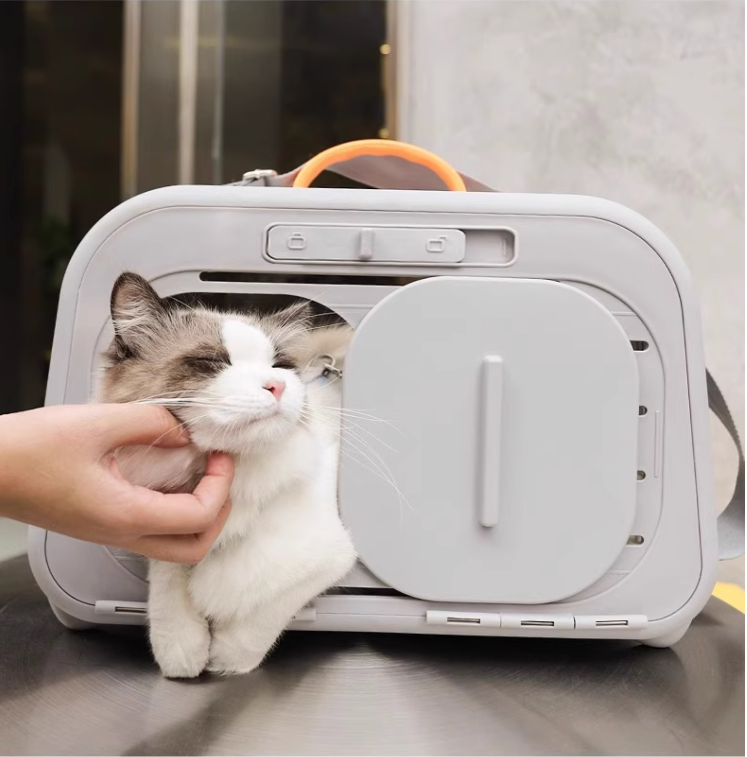 Leiboo Dual-Door Space Capsule Pet Carrier