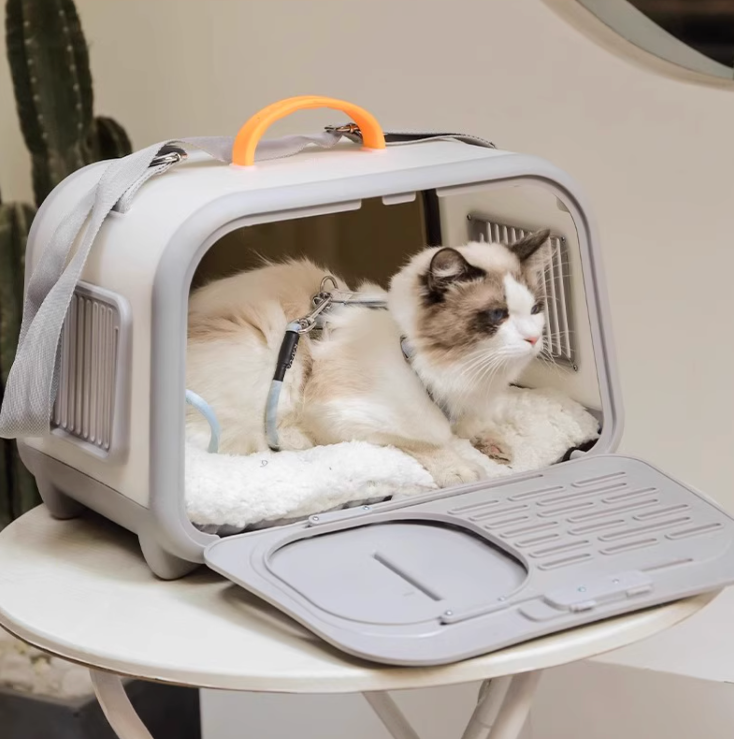Leiboo Dual-Door Space Capsule Pet Carrier