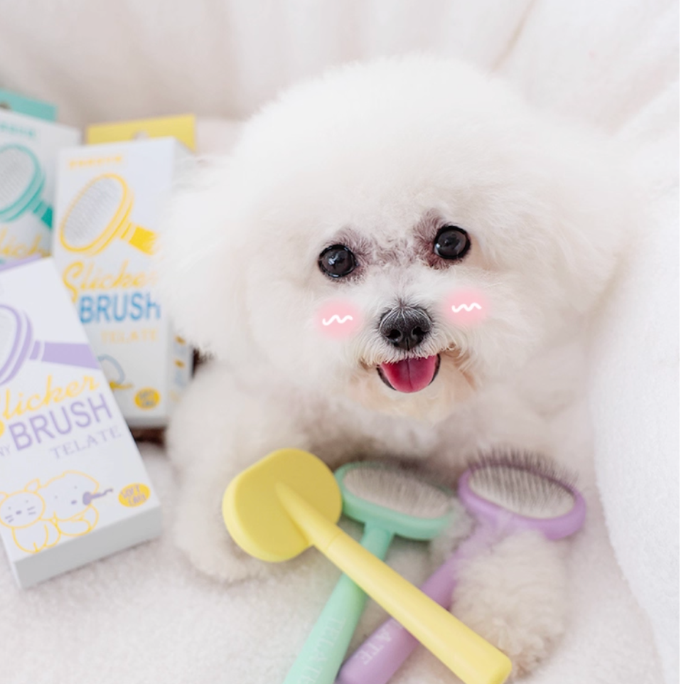 Telate Macaron Mini Pet Brush - Gentle Detangling & Daily Grooming