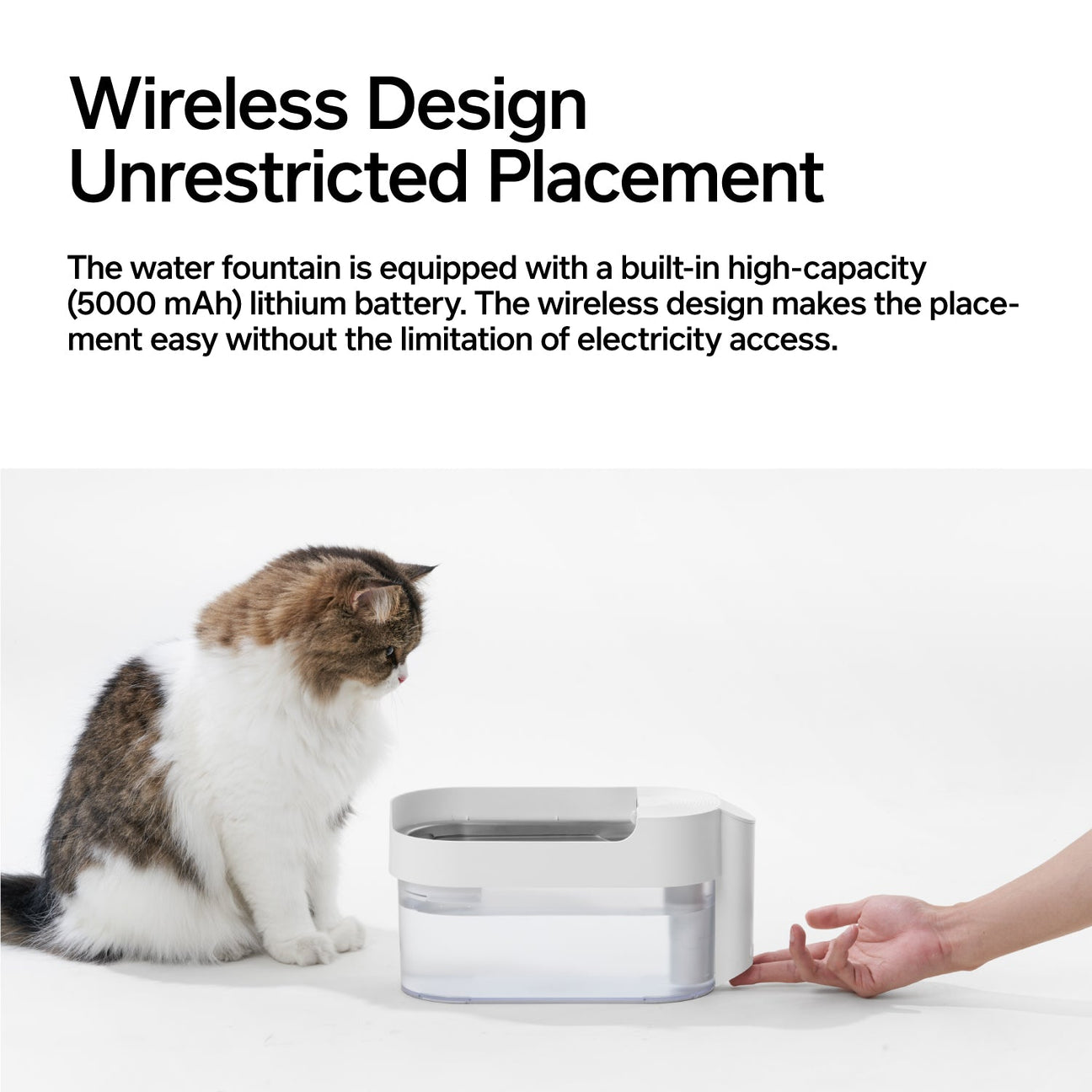 Pidan Cat Water Fountain Wireless Type - Maokids Pet
