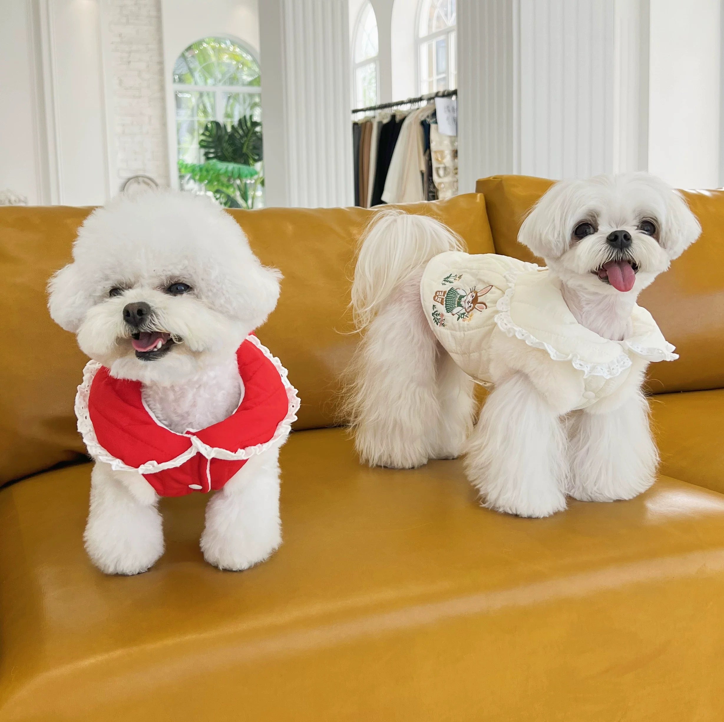 Rabbit Embroidery & Doll Collar Cotton Coat For Dog & Cat - Maokids Pet