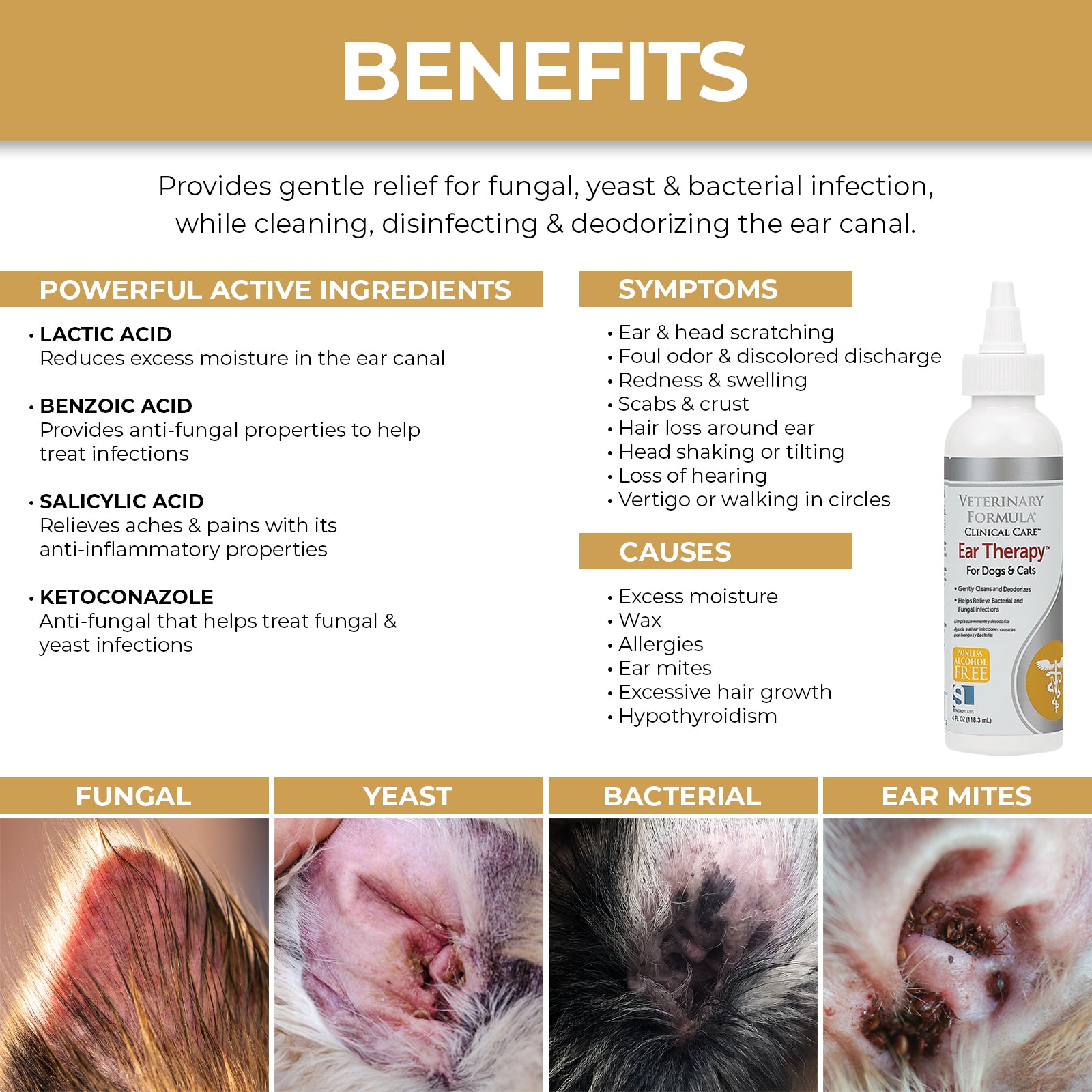Synergy Labs Veterinary Formula Ear Therapy - 4oz - Maokids Pet