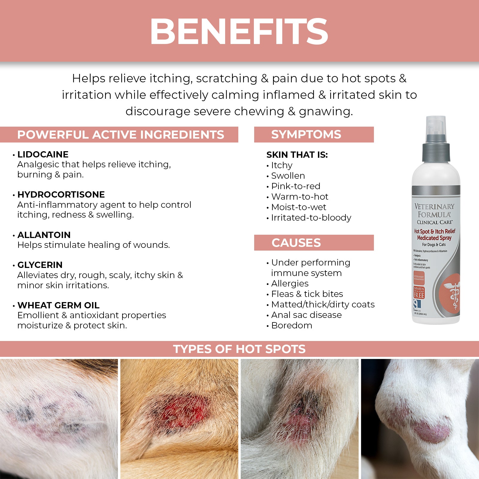 Synergy Labs Veterinary Formula Antiseptic & Antifungal Spray - 8oz - Maokids Pet
