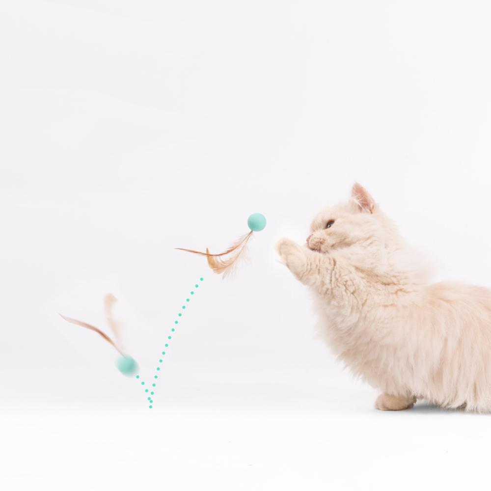 Pidan Cat Toy - Bouncy Balls - Maokids Pet