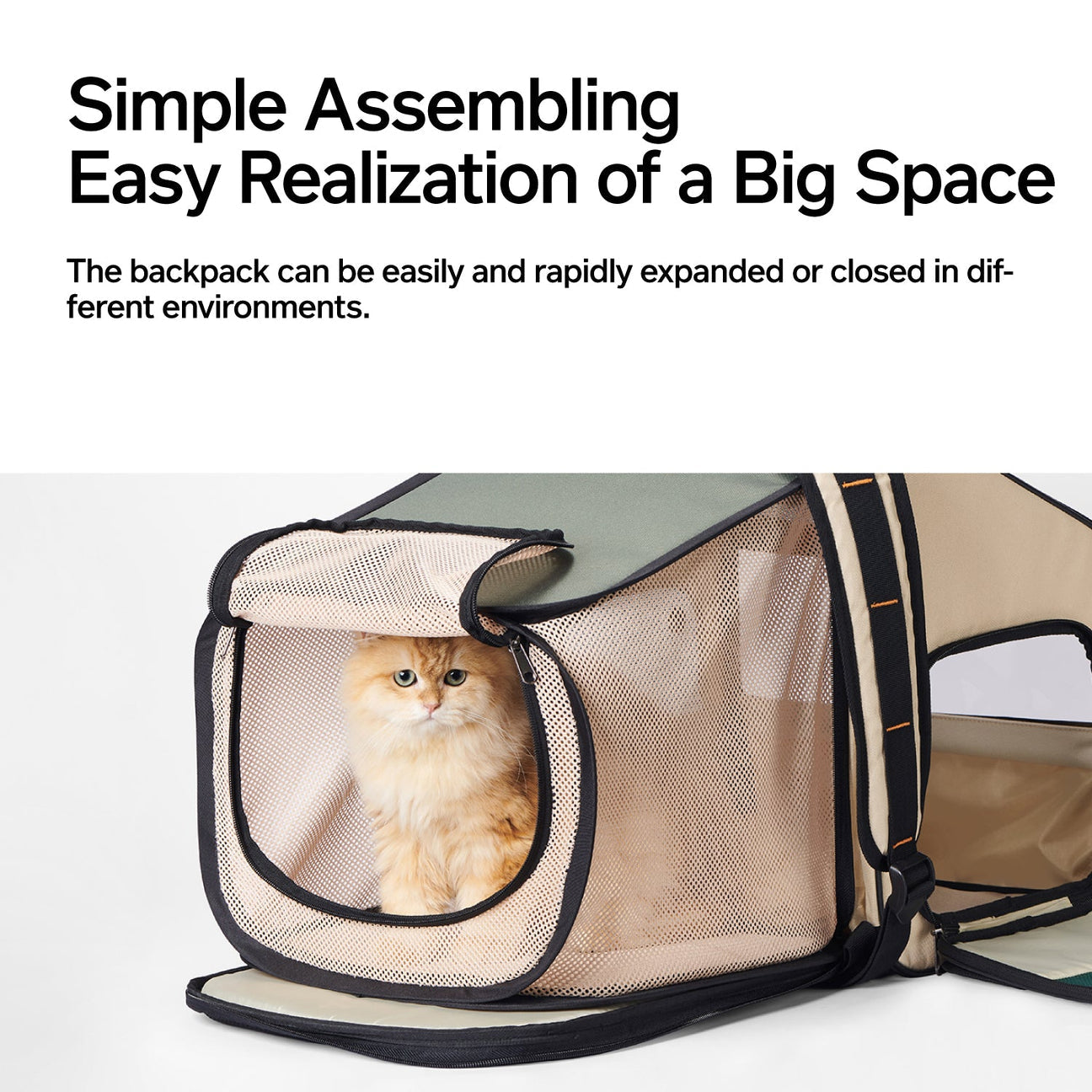 Pidan Expandable Travel Habitat Carrier - Maokids Pet