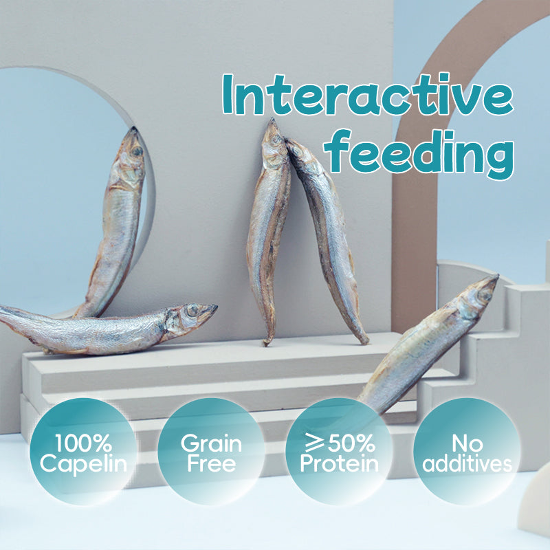 Ranova Freeze Dried Capelin For Cat - 50g