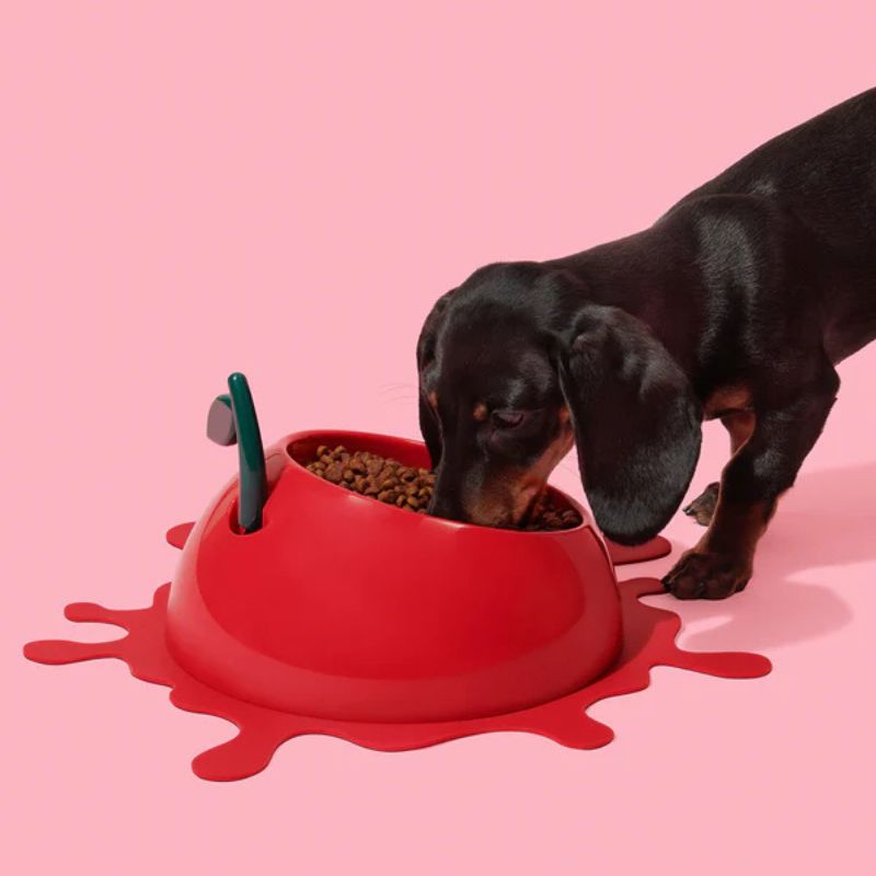 Vetreska Juicy Anti-Spill Pet Bowl, Spoon & Mat Set - Maokids Pet